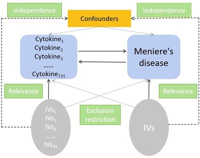 Exploring causal correlations between inflammatory cytokines and Ménière’s disease: a Mendelian randomization